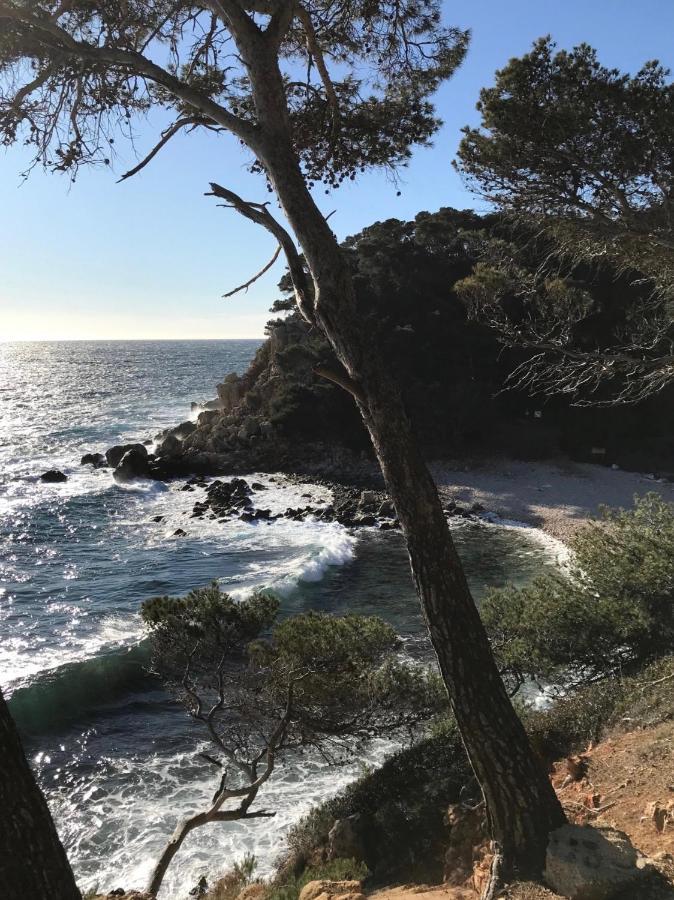 Villa Lucienne Bandol , T2 4 Etoiles Avec Garage, Dans Les Calanques 외부 사진